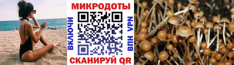 Галлюциногенные грибы Cubensis  Вихоревка 